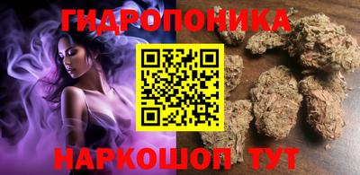 стафф Будённовск