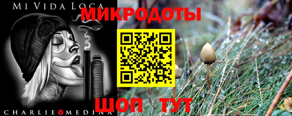 Первоуральск  Псилоцибиновые грибы GOLDEN TEACHER  Вход с VPN 